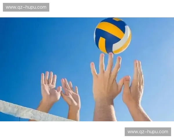 排球下注推荐，全方位掌握赢面技巧的秘密武器