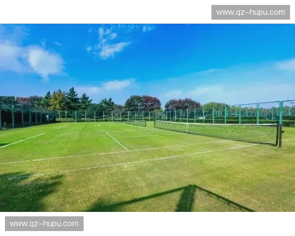 温网APP：草地夏日的指尖盛宴